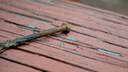 Rostiger Nagel auf Holz