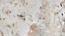 Weißer Schimmel: Eine Wand befallen von weißem Schimmel