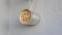 Insekten-Hotel aus Blechdose
