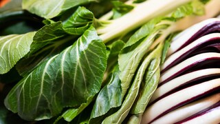 Asiatisches Gemüse: Pak Choi mit grünen Blättern
