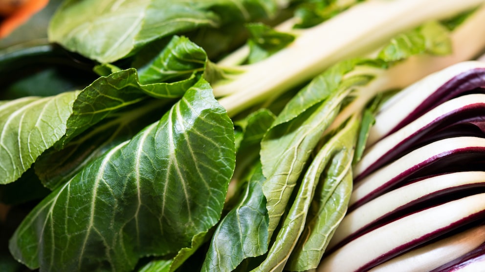 Asiatisches Gemüse: Pak Choi mit grünen Blättern