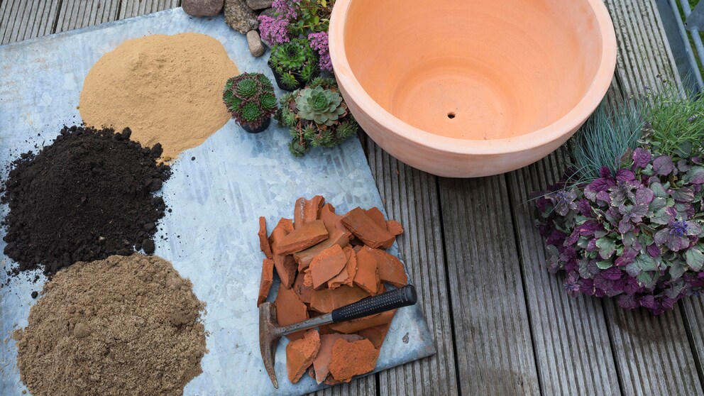 Einen Mini-Garten anlegen