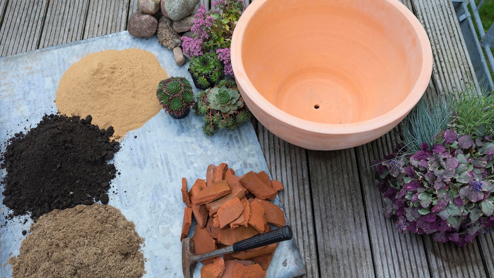 Einen Mini-Garten anlegen