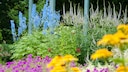 New German Style: Ein buntes Staudenbeet