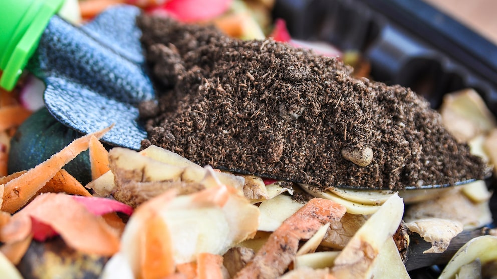 Kompost, Dünger oder Substrat – wann braucht man was?