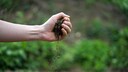 Fingerprobe Bodenqualit&auml;t: Aus einer Hand rieselt Gartenerde