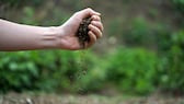 Fingerprobe Bodenqualität: Aus einer Hand rieselt Gartenerde