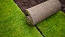 Rollrasen wird verlegt