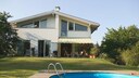 Pool im Garten