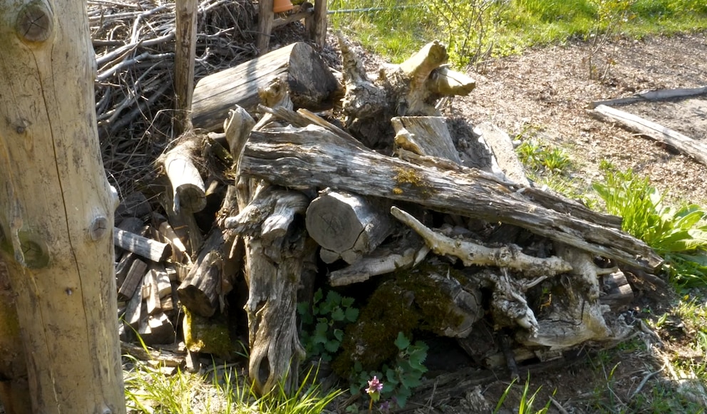 Totholz-Haufen im Garten