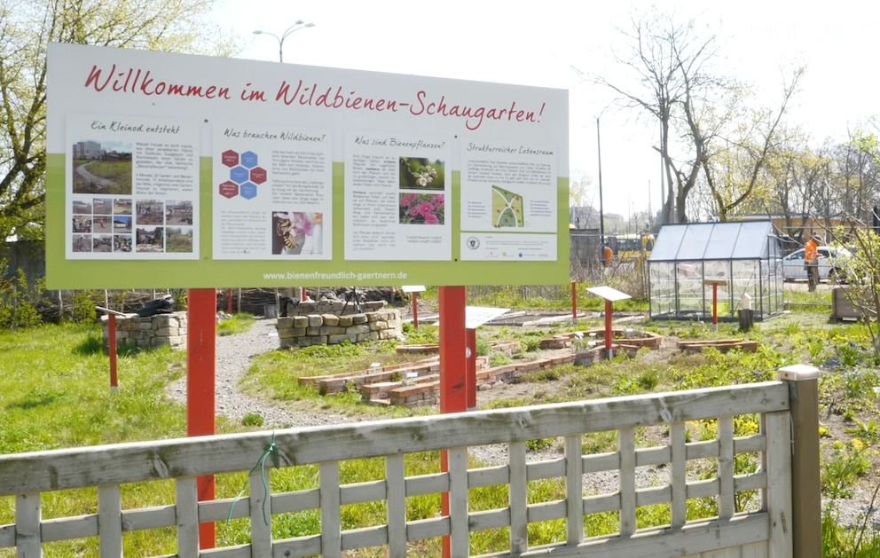 Wildbienen-Schaugarten in Berlin-Treptow