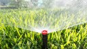 Automatische Bewässerungssysteme im Garten planen und installieren