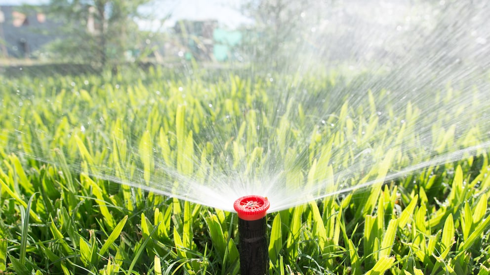 Automatische Bewässerungssysteme im Garten planen und installieren