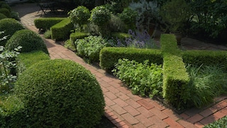Steinweg mit Buchsbaum
