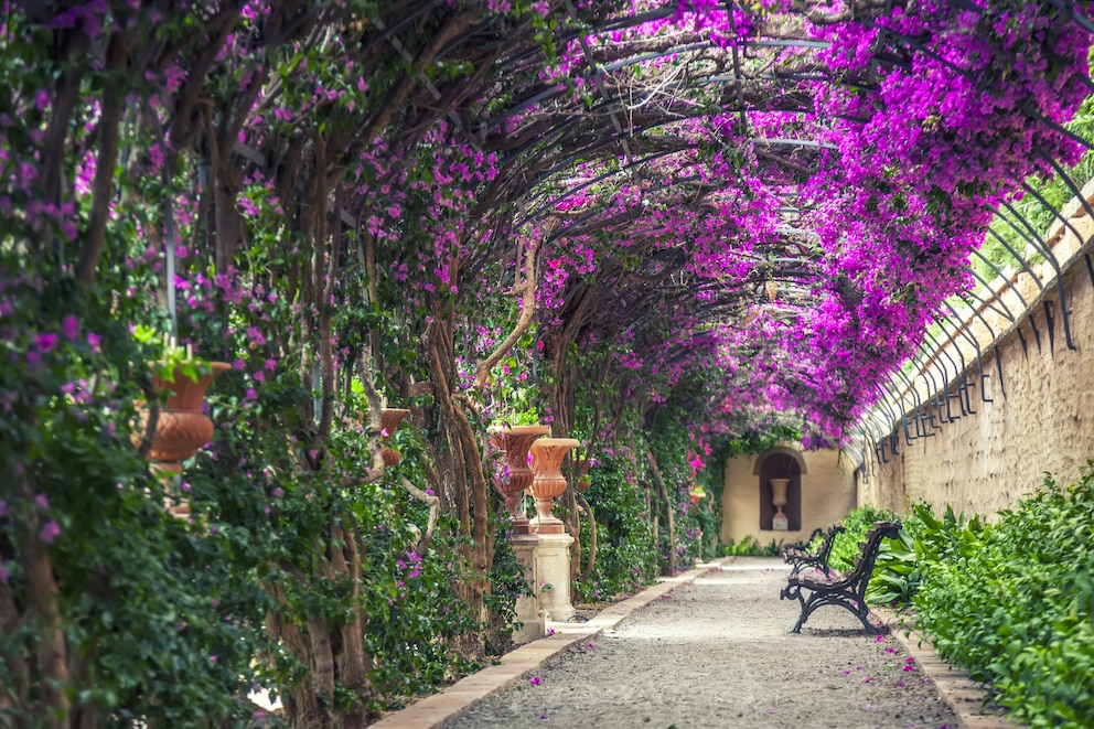 Pergola als Durchgang