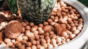 Wof&uuml;r eignet sich Bl&auml;ton?