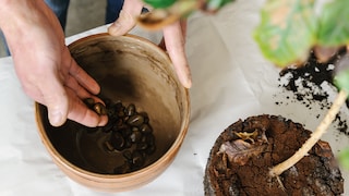 Lifehack für einen Drainage im Blumentopf