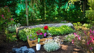 Kann man den Garten umziehen?