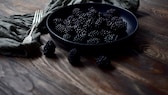 Schwarze Johannisbeere pflanzen und pflegen myHOMEBOOK