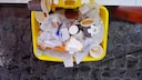 Eine Mülltonne ist gefüllt mit Plastikabfall