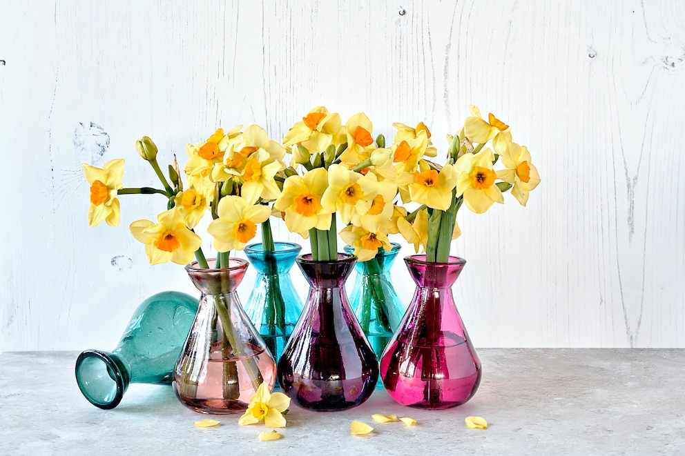 Farbige Mini-Vasen aus Glas mit Narzissen