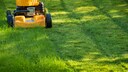 Rasenschnitt im Garten wiederverwerten