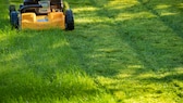 Rasenschnitt im Garten wiederverwerten