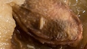 Maden: Made auf Pflaumenstein
