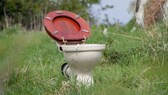 Toilette mit offenem Deckel in der Natur