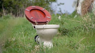 Toilette mit offenem Deckel in der Natur