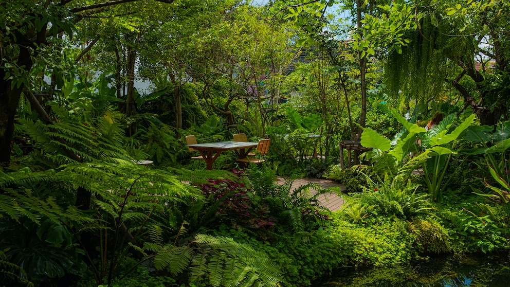 Ein Dschungelgarten entführt in fremde Länder ohne zu verreisen