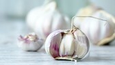 Knoblauch