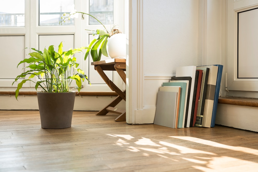 Topfpflanzen und Bücher, die auf dem Boden stehen oder an der Wand lehnen