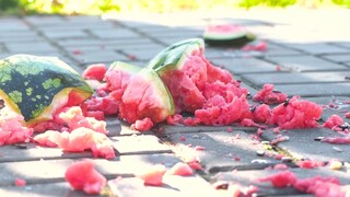 Geplatzte Wassermelone