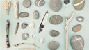 Viele sammeln bei einem Strandausflug Steine, Muscheln oder Treibholz