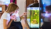 Frau und Baby schauen sich gemeinsam ein Aquarium an