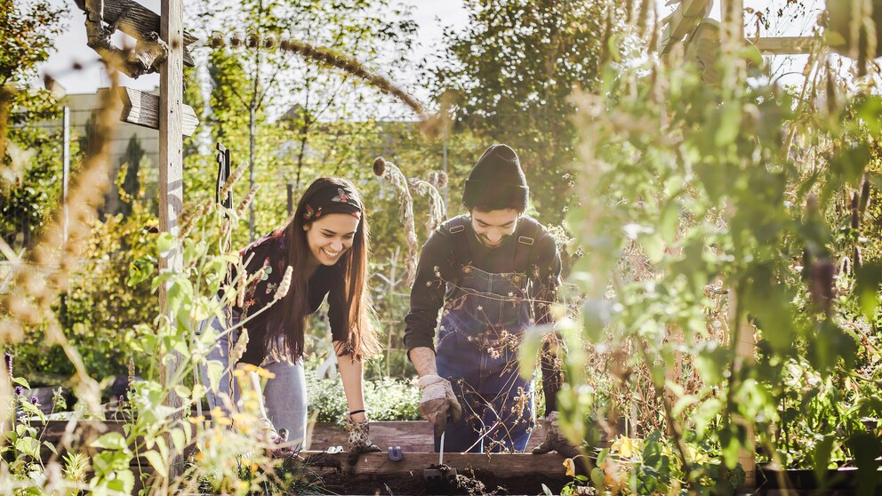 Gadgets für den Garten, die die Arbeit erleichtern