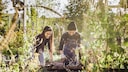 Gadgets für den Garten, die die Arbeit erleichtern