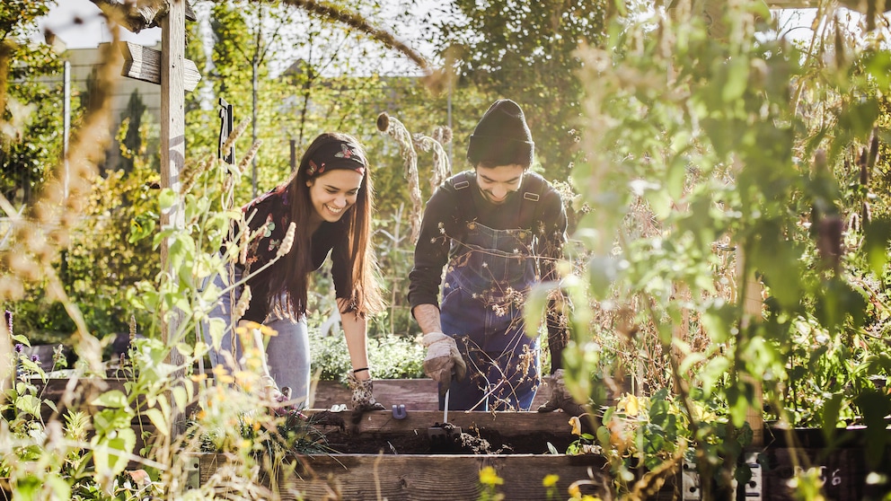 Gadgets für den Garten, die die Arbeit erleichtern