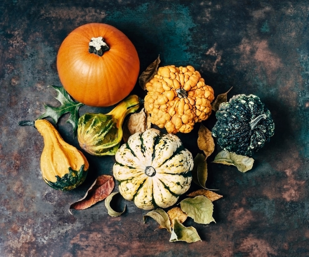 Kürbisse als Herbstdeko