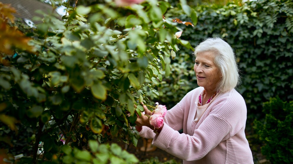 Frau schneidet im Garten