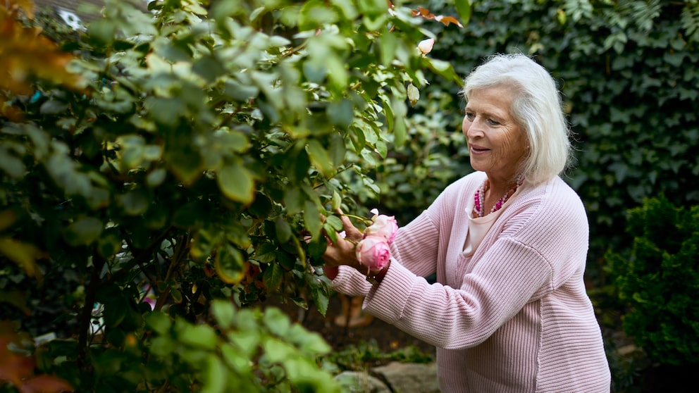 Frau schneidet im Garten