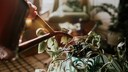7 Fehler bei der Pflege von Zimmerpflanzen