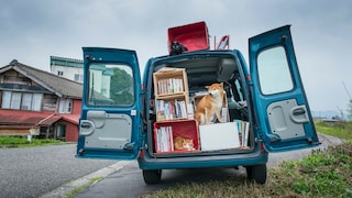 Hund im Umzugswagen