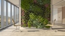 Vertical Gardening ist eine Art der Bepflanzung, mit der Wände begrünt werden können. Vor einer Pflanzenwand stehen zwei Bürostühle
