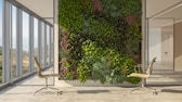 Vertical Gardening ist eine Art der Bepflanzung, mit der Wände begrünt werden können. Vor einer Pflanzenwand stehen zwei Bürostühle