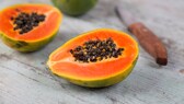 Papaya selber ziehen: Aufgeschnittene Papaya Frucht mit den typischen, schwarzen Kernen