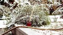 Gartenboden Winter: Ein winterlicher Garten, schneebedeckt mit Gartenschaufel