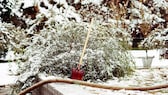 Gartenboden Winter: Ein winterlicher Garten, schneebedeckt mit Gartenschaufel