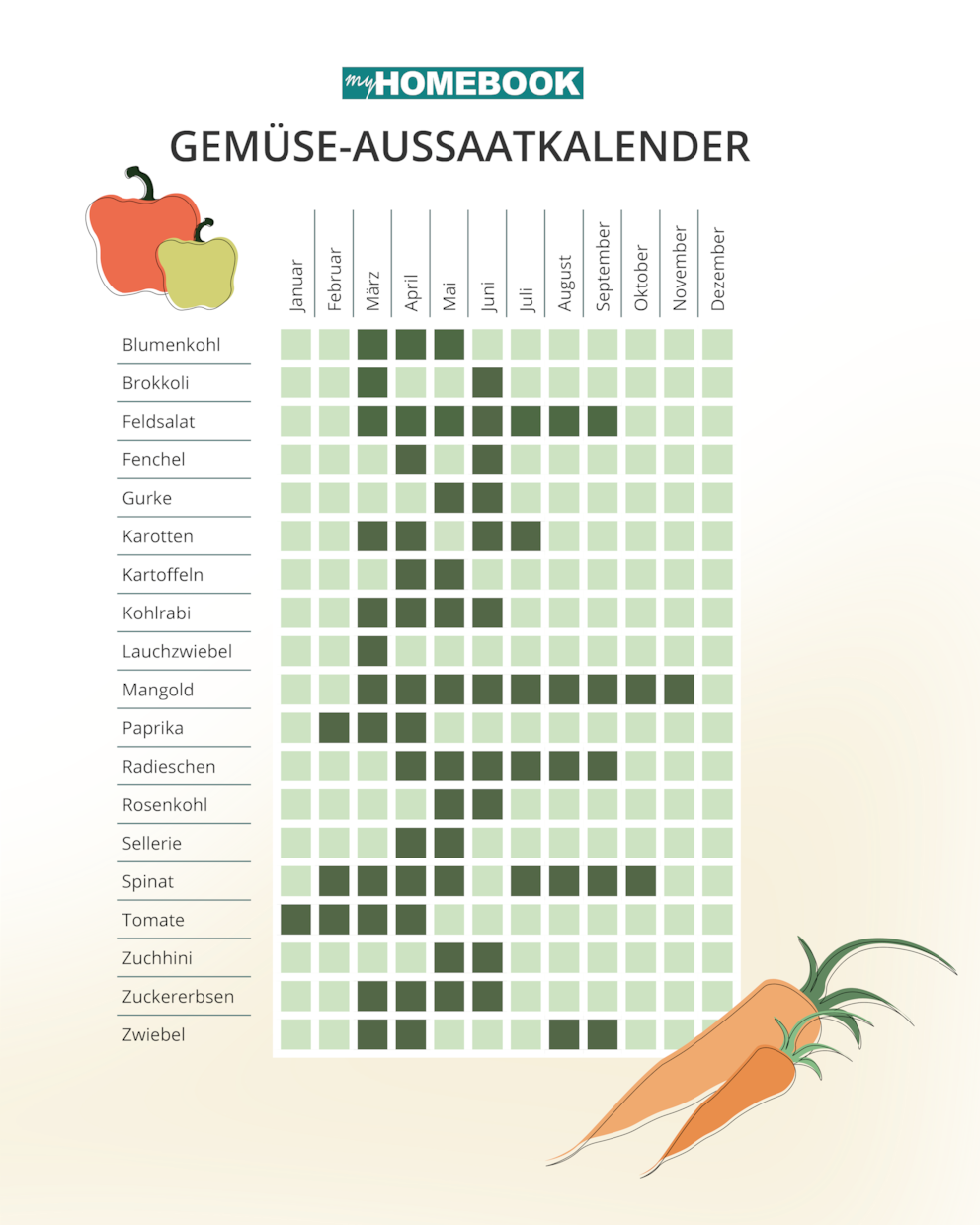 Wann welches Gemüse ausgesät werden kann im Überblick